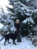 Linda & Derby on a very chilly morning walk in Burgos, Spain, on their way from Antons Gowt in Lincs to enjoy the sun in Marbella, S.Spain.